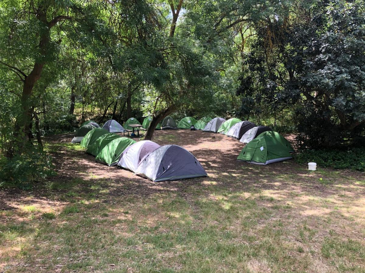 Belair National Park Holiday Park 외부 사진