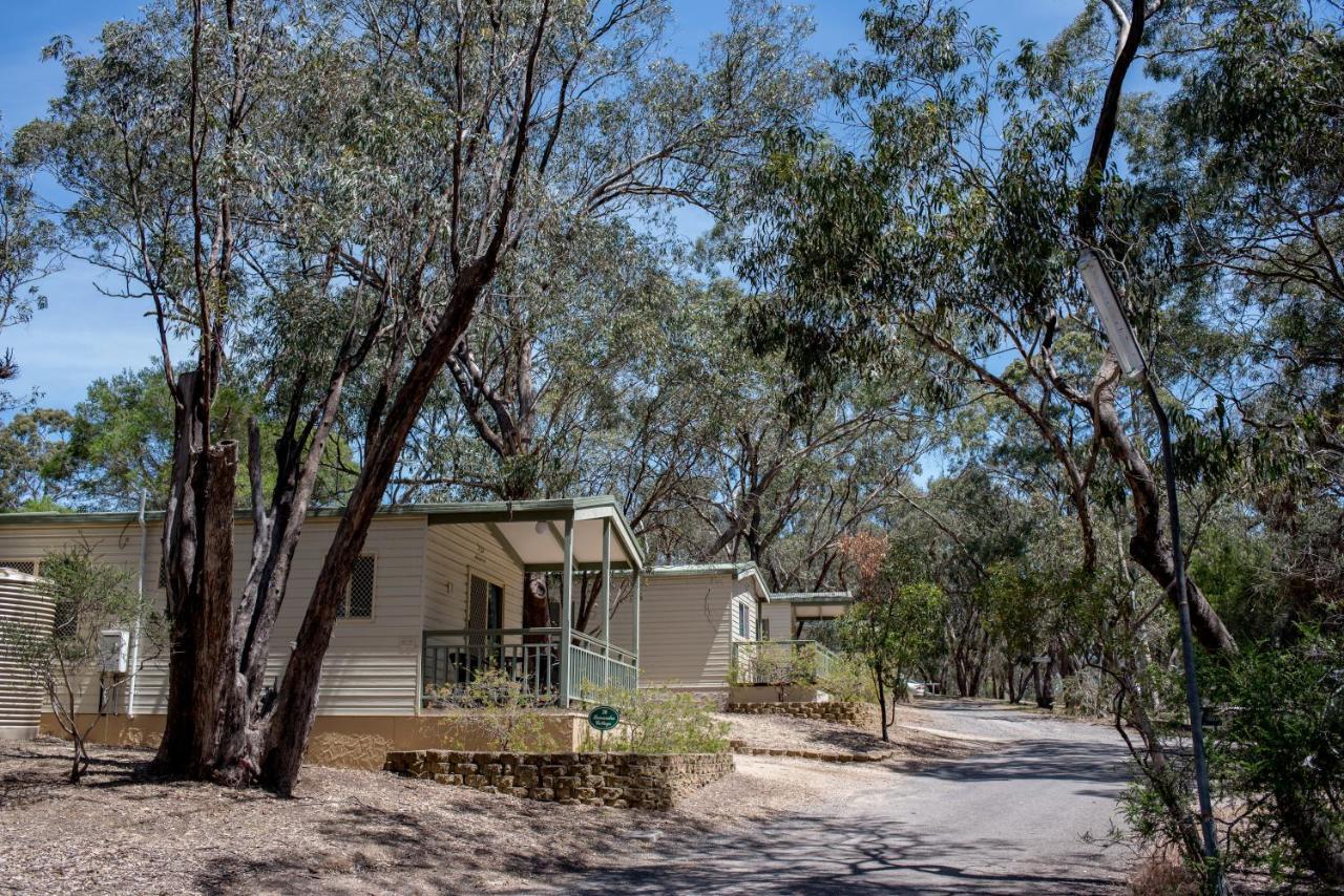 Belair National Park Holiday Park 외부 사진