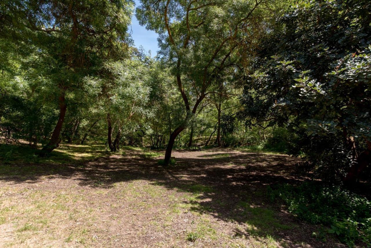Belair National Park Holiday Park 외부 사진